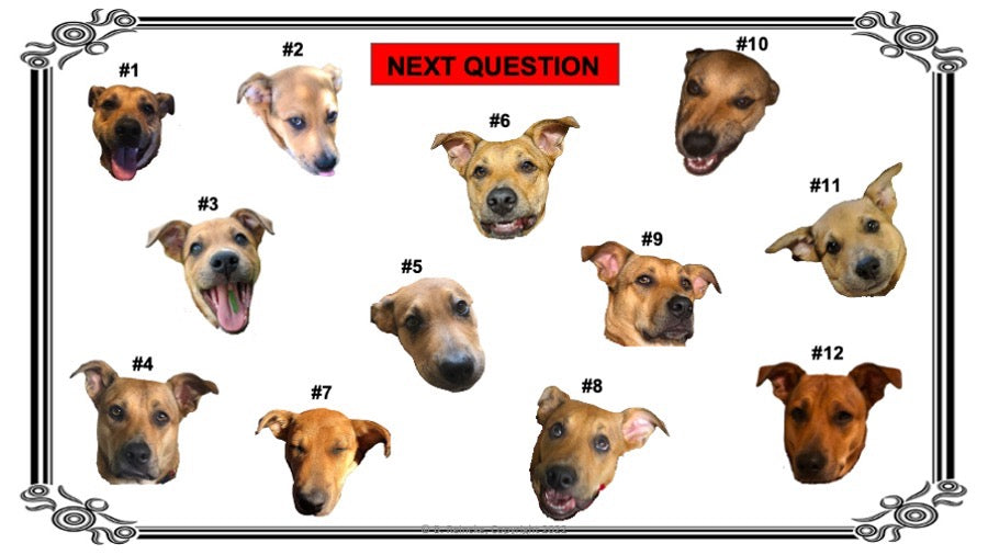 Multiplying & Dividing Decimals (by Whole Numbers) Tech Time (INTERACTIVE REVIEW GAME!)