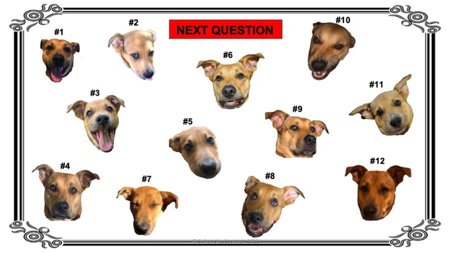 Multiplying Fractions Tech Time (INTERACTIVE REVIEW GAME!)