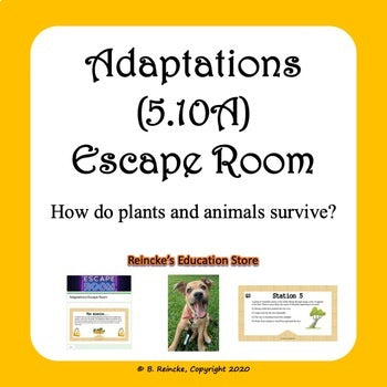Adaptations Escape Room (5.10A)