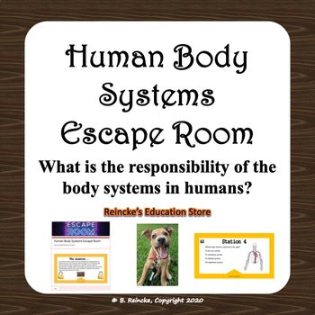 Human Body Systems Escape Room (Digital or Paper)