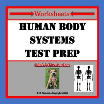 Human Body Systems Multiple Choice Worksheets (Test Prep)